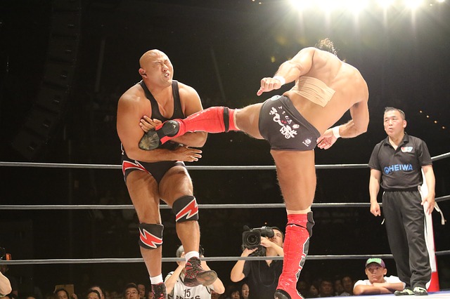 kop ve wrestlingu